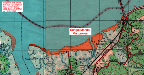 Sungei Mandai Mangrove 1966